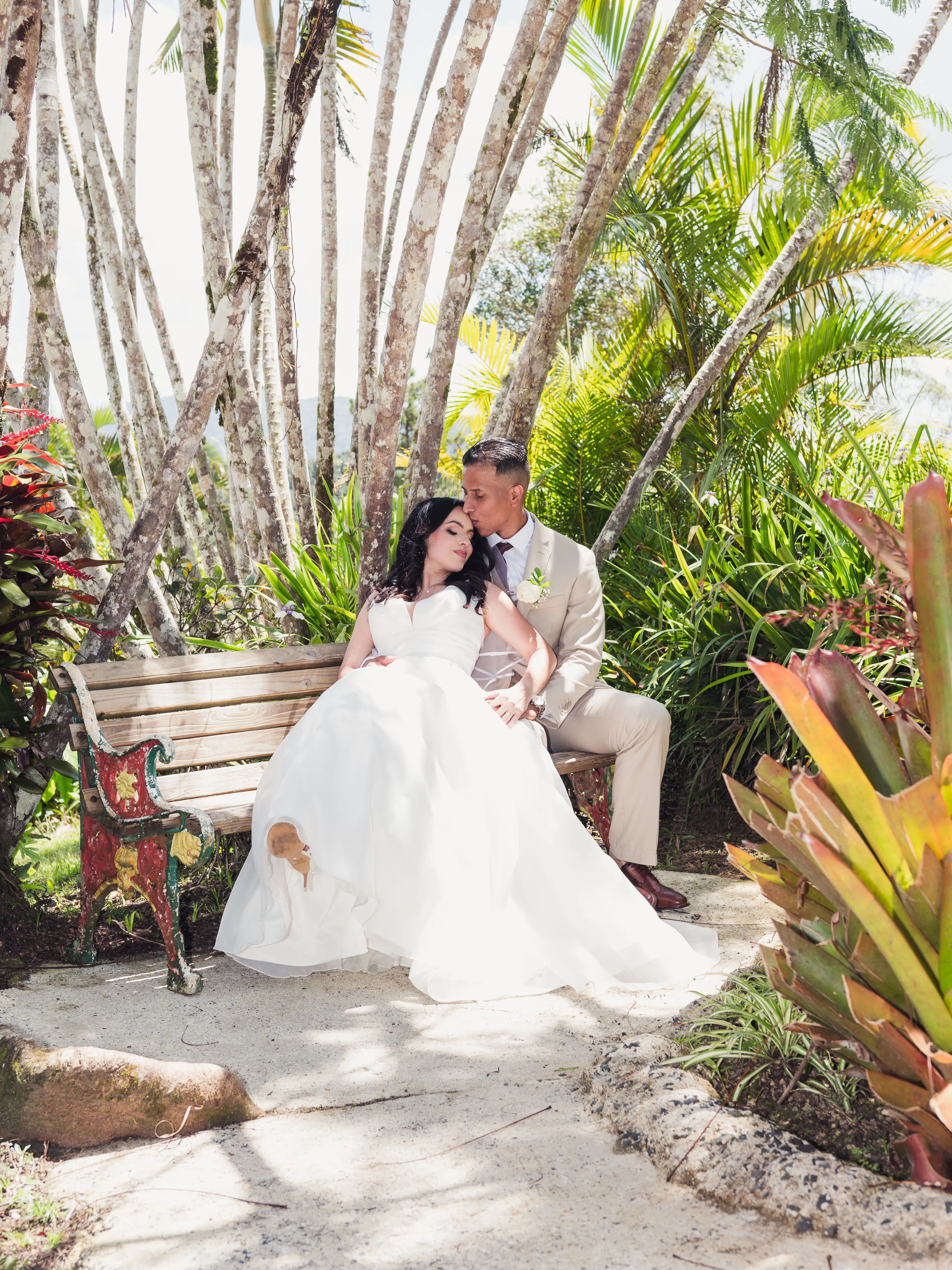 Boda Delizias en Cayey